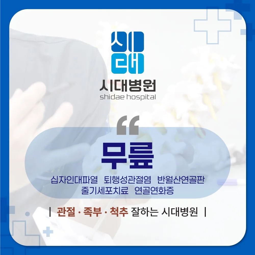 시대병원 무릎 관절 진료 안내 카드